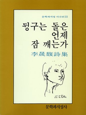 cover image of 뒹구는 돌은 언제 잠 깨는가 - 문학과지성 시인선 013